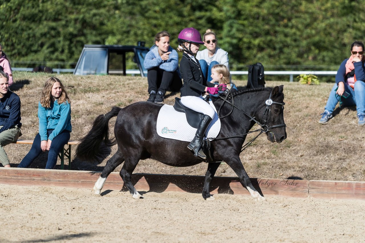 Bild 69 - Pony Akademie Turnier